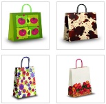 Paper Bag