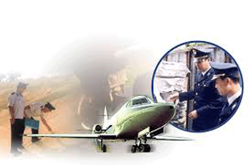 Customs service