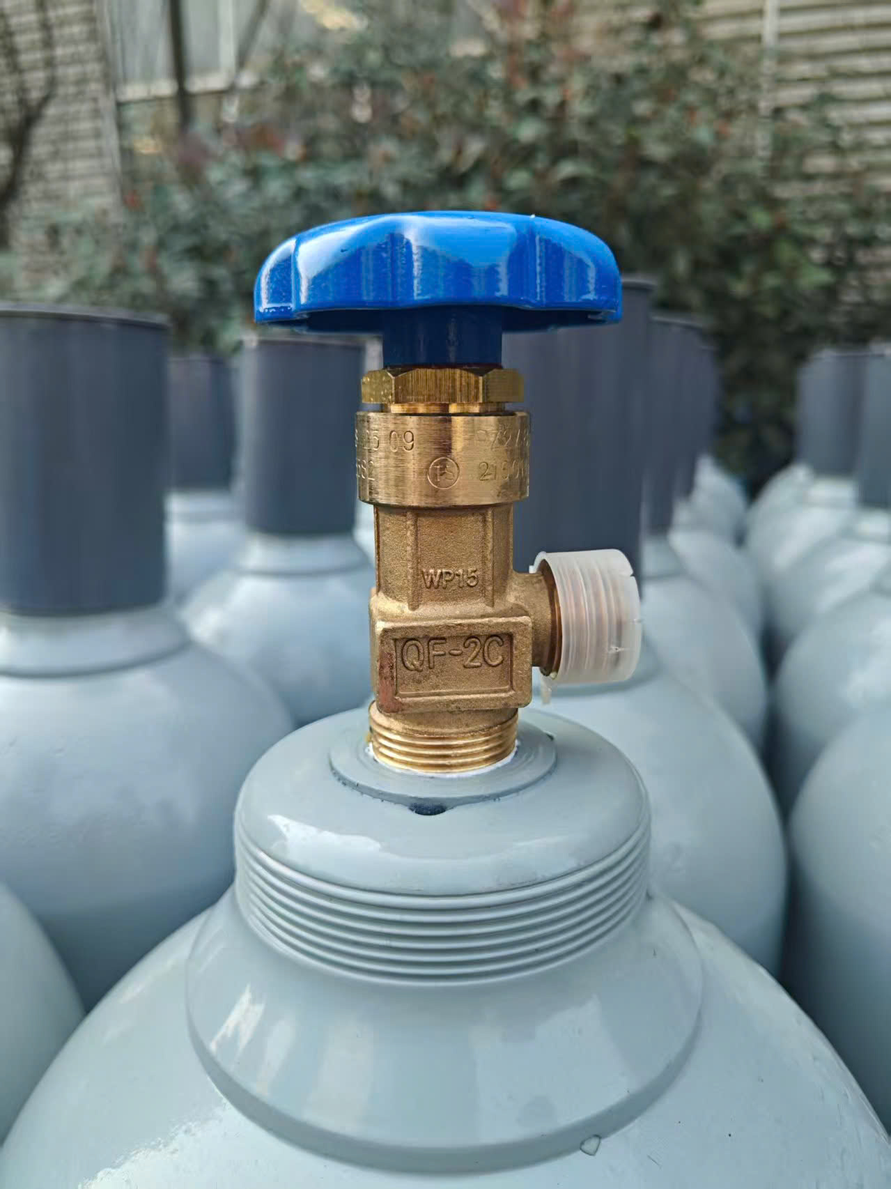 Valve QF 2C