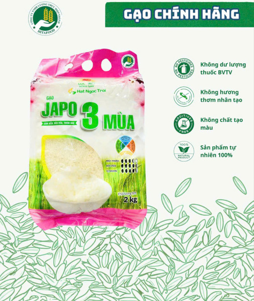 GABA Japonica rice