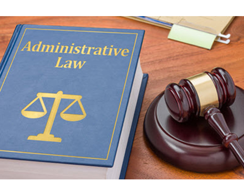 Consultancy on administrative law
