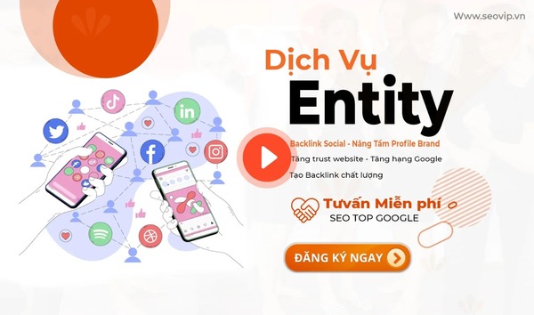 Entity SEO services