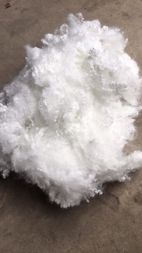 Cotton