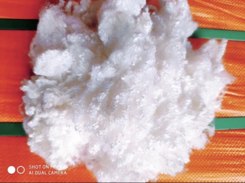 Cotton