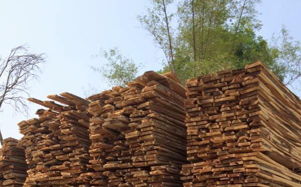 Melaleuca Wood