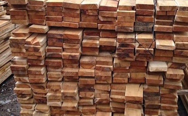 Melaleuca Wood