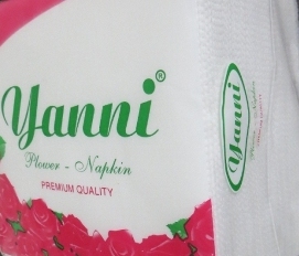 Napkin