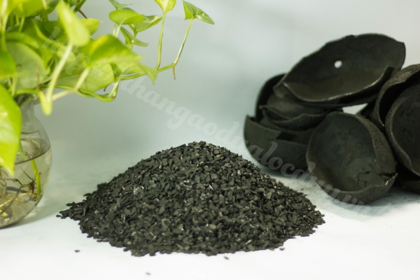 Coconut Shell Activated Carbon