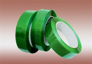PET Plastic Belt