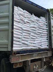 Filler Masterbatch