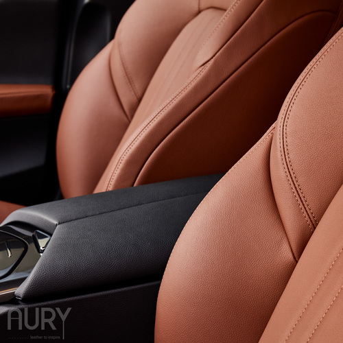 Nappa car leather
