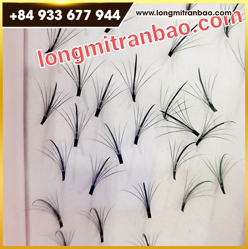 Y-W eyelashes