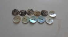 Seashell buttons