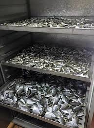Fish dryer