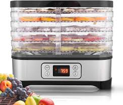 Fruit dryer