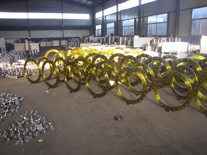 Stainless Steel Flange