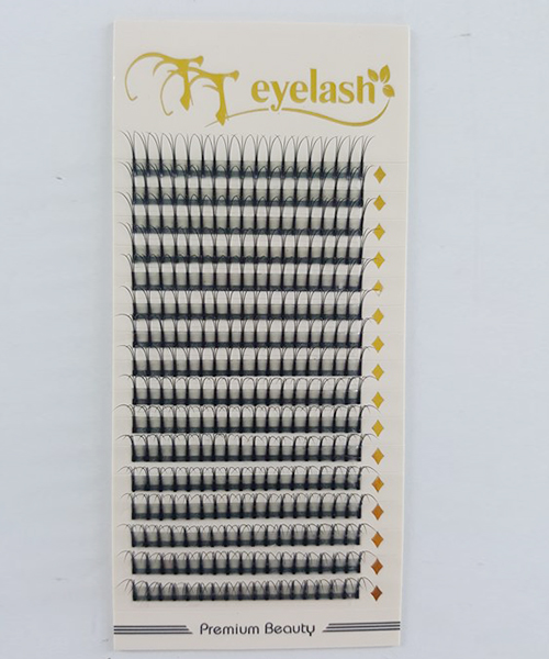Y-W eyelash extensions