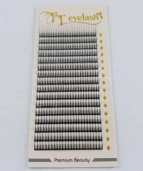 Y-W eyelash extensions