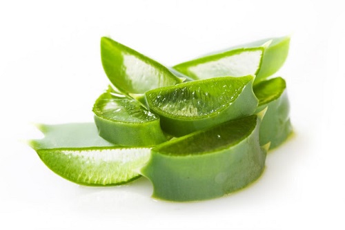 Aloe vera