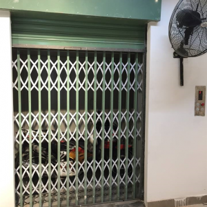 Goods elevator