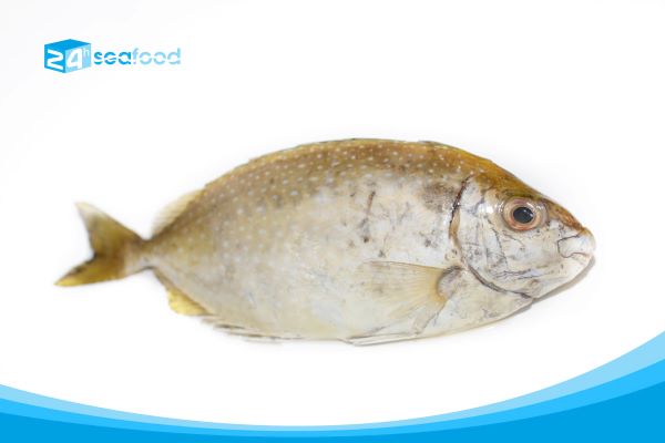 Grouper