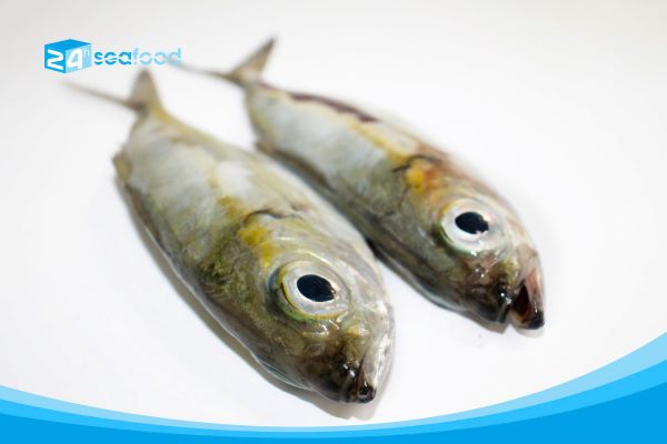 Swamp fish