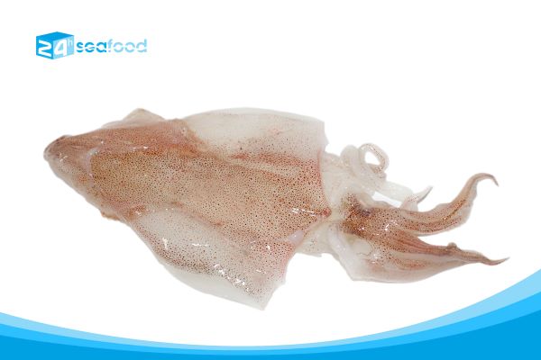 Squid fillet