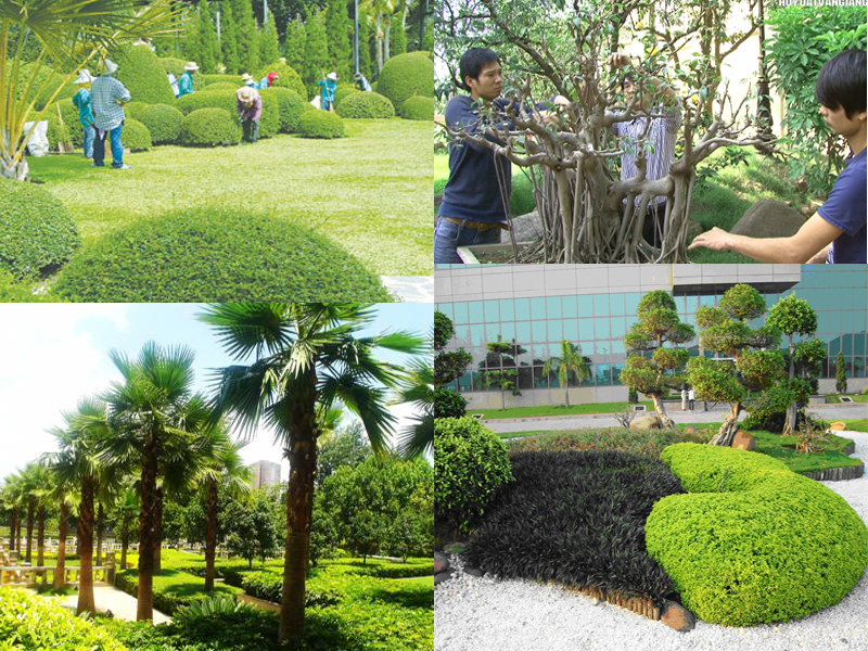 Planting and tending tree