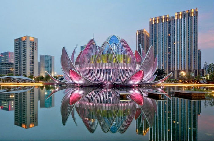 Hoa Sen Building Project