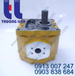 Lifting pump