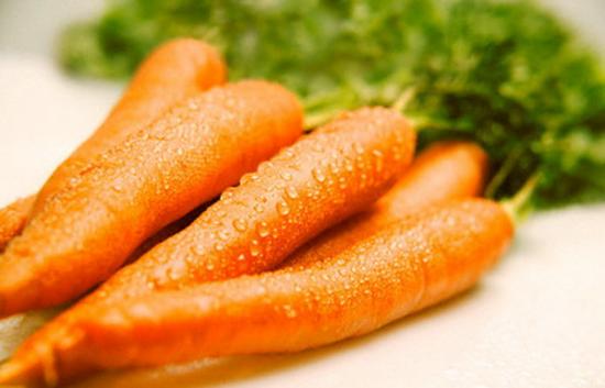 carrot