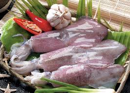 fresh squid