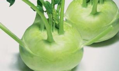 Kohlrabi