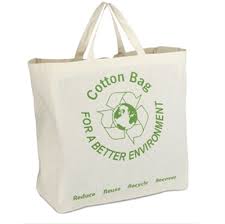 Non Woven Bag
