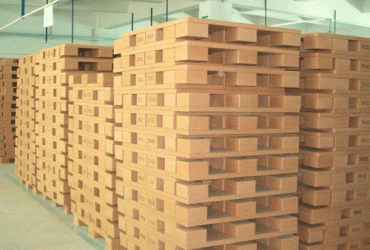 paper pallet