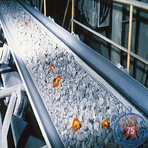 Heat resistance EP conveyor belt