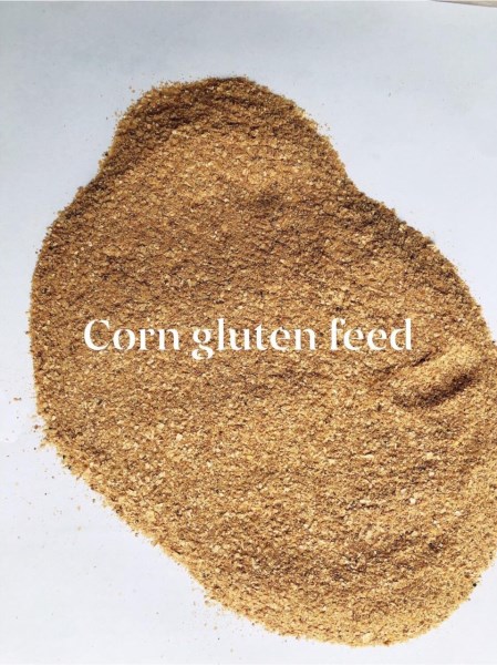 Corn bran