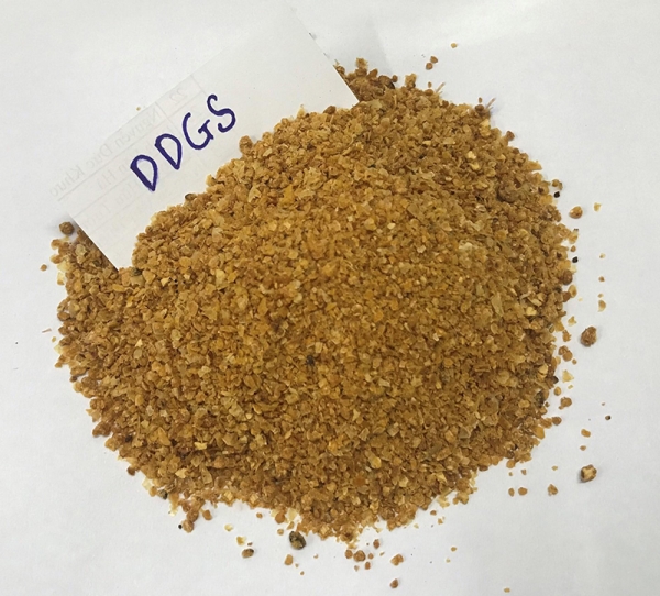 Fermented corn residue