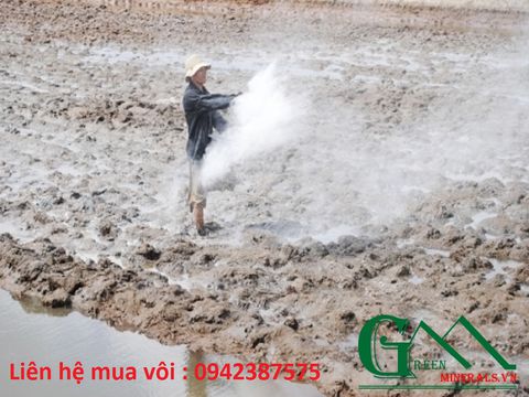 Lime for fertilizing fields