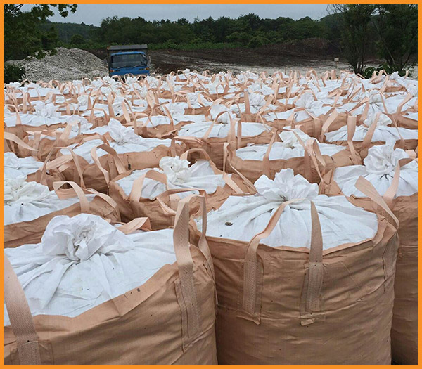 Container bag