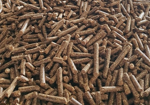 Wood pellets