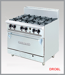 Gas stove
