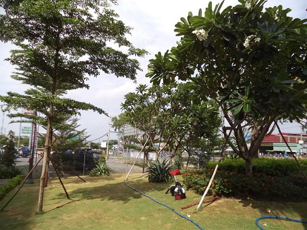 Lotte Vietnams greenery system