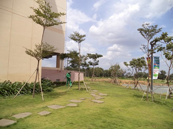 Lotte Vietnams greenery system