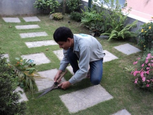Landscape caring services
