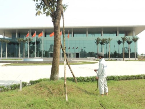 Landscape caring services