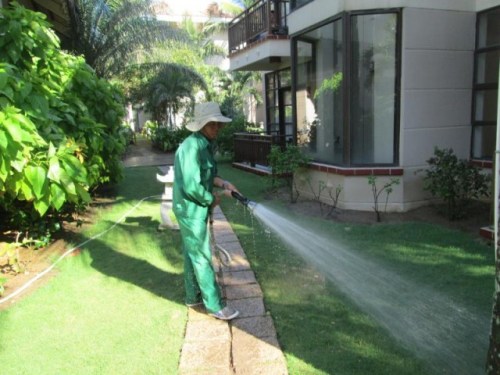 Landscape caring services