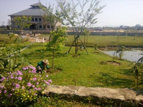 Landscape caring services