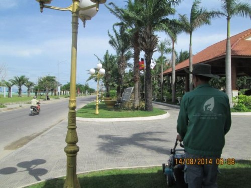 Landscape caring services