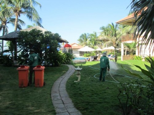 Landscape caring services